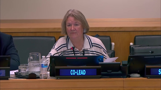 (11th meeting) - Fifth Session of the Intergovernmental Negotiating Committee on the UN Framework Convention on International Tax Cooperation (INC Tax) - 3 to 13 August 2026