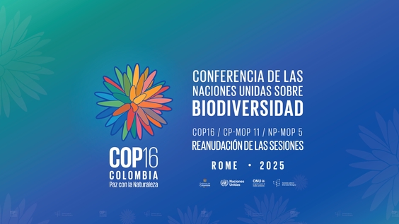 Resumed UN-Biodiversity COP 16 / CP-MOP 11/NP-MOP 5 - Day 4 Morning Session