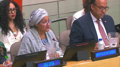 Amina J. Mohammed (UN Deputy Secretary-General) on the Economic and Social Council: 22nd plenary meeting - 2026 Operational Activities for Development Segment