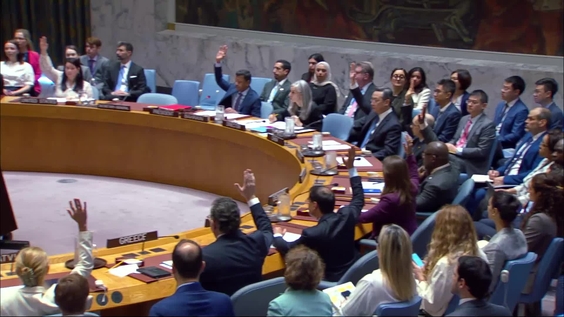 The situation in Libya - Security Council, 10134th meeting