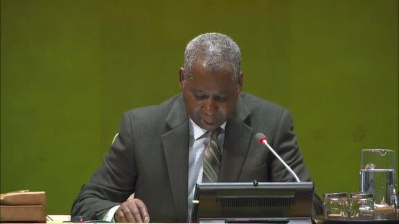 22nd Plenary Meeting of General Assembly 74th Session