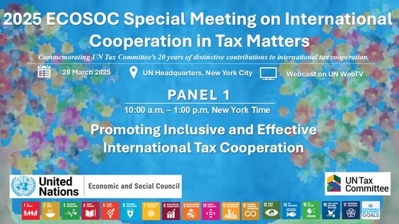 Special meeting on international cooperation in tax matters - Economic and Social Council, 12th  plenary meeting, 2025 session
