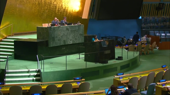 General Assembly: 25th plenary meeting, 79th session