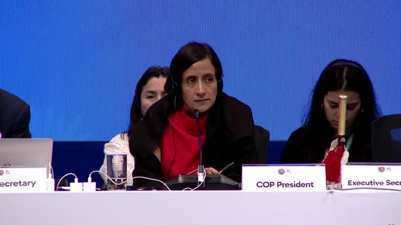 Plenary session: stocktaking and adoption of decisions at COP16 – United Nations Biodiversity Conference 2024