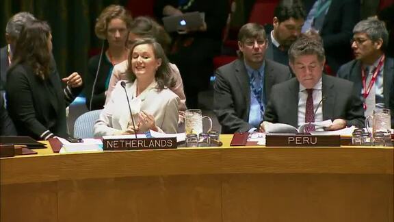 8169th Security Council Meeting: Situation in Central African Republic