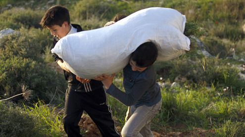 The ILO World of Work Show: How can child labour be eliminated?