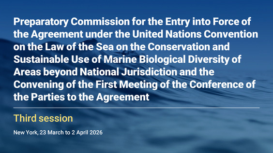 Preparatory Commission: Agreement on Marine Biological Diversity of Areas beyond National Jurisdiction (Third Session, 22nd plenary meeting, followed by an informal working group meeting)