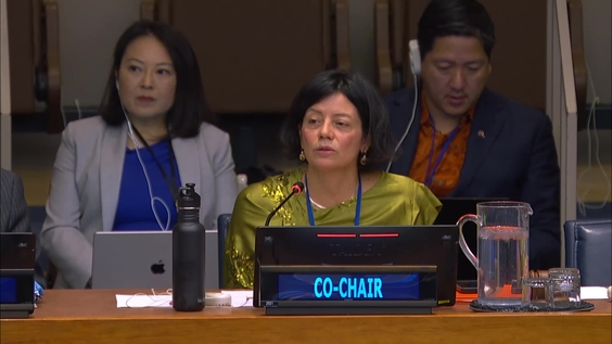 Preparatory Commission: Agreement on Marine Biological Diversity of Areas beyond National Jurisdiction (Third Session, 22nd plenary meeting, followed by an informal working group meeting)