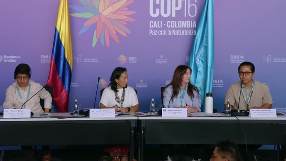 Press Conference: Opportunities to advance in realising and engaging the rights of Indigenous Peoples and local communities – United Nations Biodiversity Conference 2024