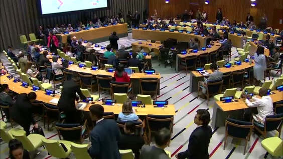 General Assembly: Preparation for the SDG Summit (Informal meeting)