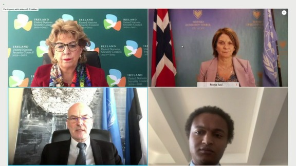 Security Council Joint Stakeout on the Middle East Peace Process by current EU members of the UN Security Council Estonia, France, Ireland, as well as Norway
