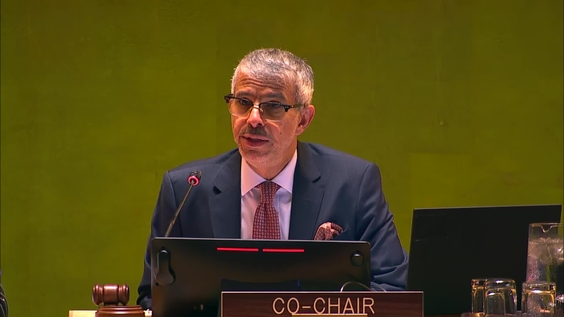 (Opening) High-Level International Conference for the Peaceful Settlement of the Question of Palestine and the Implementation of the Two-State Solution