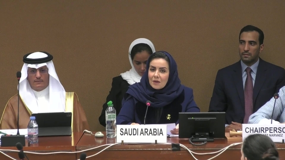 2093rd Meeting, 89th Session, Committee on the Elimination of Discrimination against Women (CEDAW)