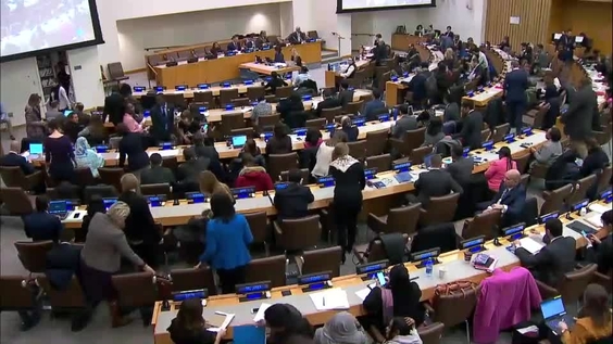 Third Committee, 45th meeting - General Assembly, 74th session
