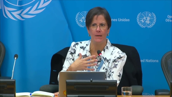 Press Conference: The Special Rapporteur on Violence against Women and Girls following her report to the Third Committee of the General Assembly