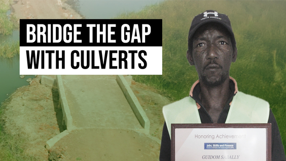 Bridging the Gap: Climate Adaptation with Culverts in Rural Gambia