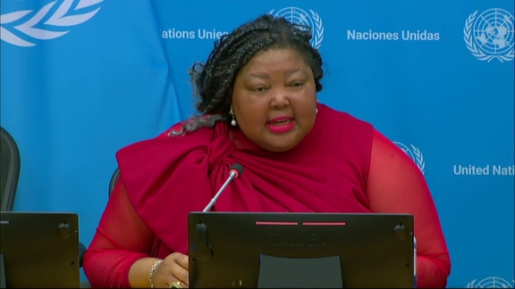 Press Conference: Tlaleng Mofokeng, UN Special Rapporteur on the right to health
