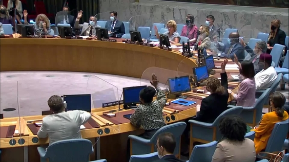 Threats to International Peace and Security- Security Council, 8863rd Meeting