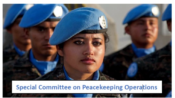 Special Committee on Peacekeeping Operations (C-34) - 273rd meeting