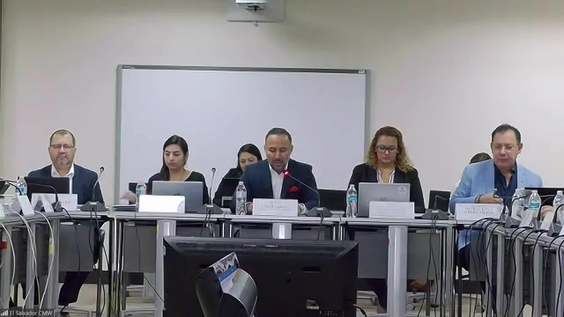 523rd Meeting, 36th Session, Committee on Migrant Workers (CMW)