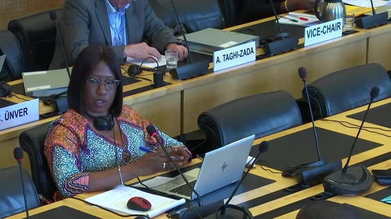 555th Meeting, 38th Session, Committee on Migrant Workers (CMW)