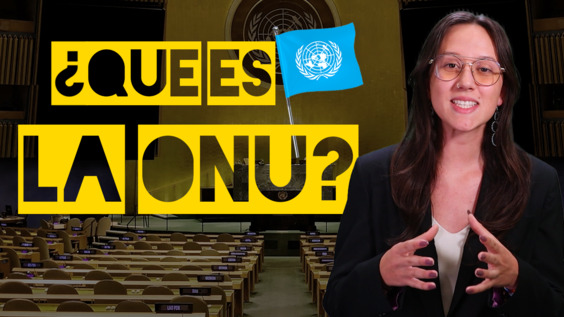 ¿Qué son las Naciones Unidas?