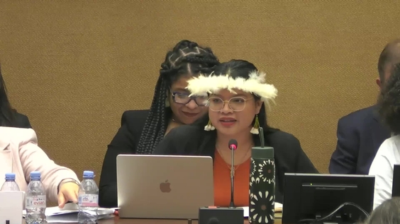 2076th Meeting, 88th Session, Committee on the Elimination of Discrimination against Women (CEDAW)
