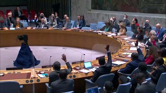 The situation in Somalia - Security Council, 9044th Meeting