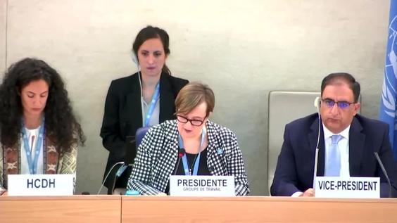 ID: WG on Mercenaries - 14th Meeting, 51st Regular Session of Human Rights Council