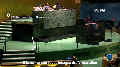 Women In Diplomacy: A Force For Peace