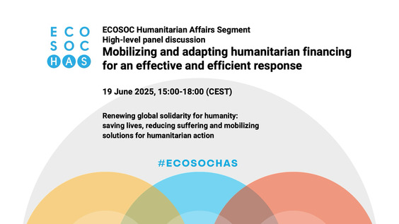 2025 ECOSOC Humanitarian Affairs Segment - Economic and Social Council, 30th Plenary Meeting