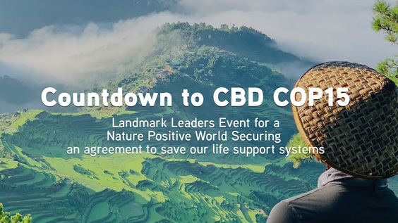 Countdown to CBD COP15: Landmark Leaders Event for a Nature Positive World
