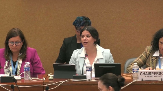 2100th Meeting, 89th Session, Committee on the Elimination of Discrimination against Women (CEDAW)