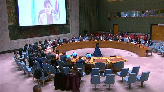 The question Concerning Haiti - Security Council, 9233rd meeting