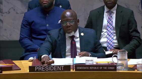Ukraine - Security Council, 10202nd meeting