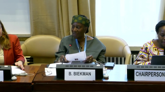 3rd Meeting, 37th session United Nations Working Group of Experts on People of African Descent