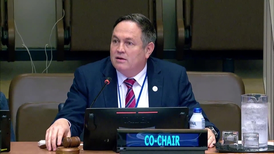 (4th meeting) Fifteenth session of the United Nations Committee of Experts on Global Geospatial Information Management (UN-GGIM)