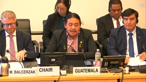 3171st Meeting, 116th Session, Committee on the Elimination of Racial Discrimination (CERD)