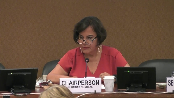 2159th Meeting, 91st Session, Committee on the Elimination of Discrimination against Women (CEDAW)
