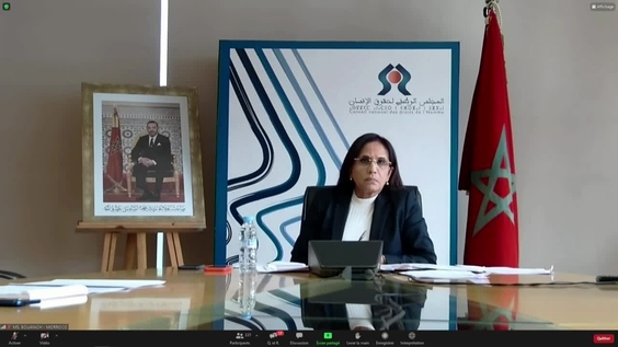 Role of National Human Rights Institutions - Forum on Business and Human Rights 2021