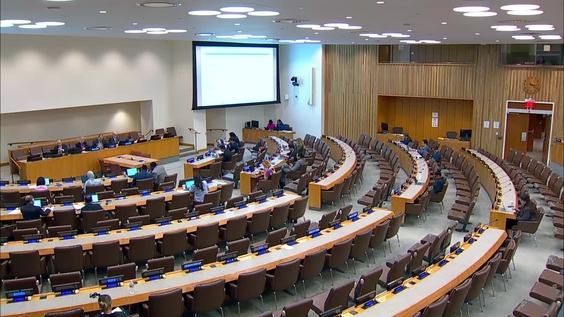 (24th plenary meeting) Committee on Non-Governmental Organizations, 2026 resumed session, Economic and Social Council