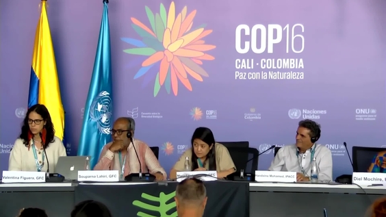 Press Conference – COP 16: What's Really at Stake Voices from the Ground on the Threat of False Solutions – United Nations Biodiversity Conference 2024