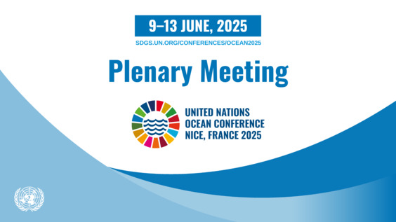 8th plenary meeting | Closing