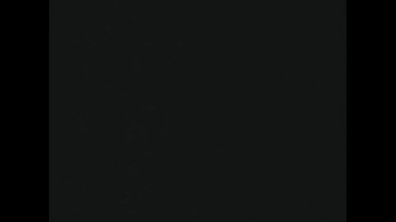 995th, 997th Meetings of Security Council 