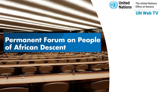 3rd Meeting, 1st Session of the Permanent Forum on People of African Descent