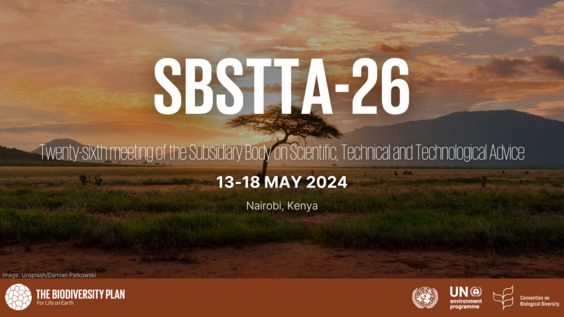 Closing Press Conference of SBSSTA-26