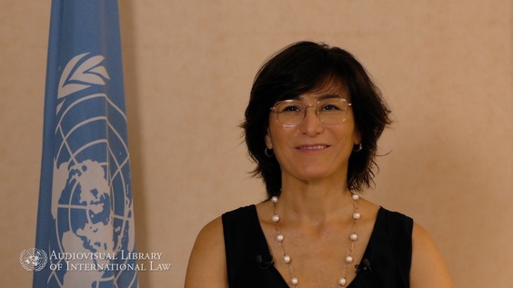 Paola Gaeta - The "Core" International Crimes: Aggression and War Crimes