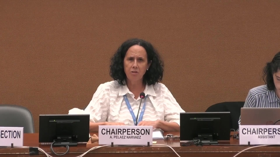 2090th Meeting, 89th Session, Committee on the Elimination of Discrimination against Women (CEDAW)