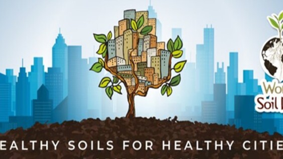 World Soil Day 2025