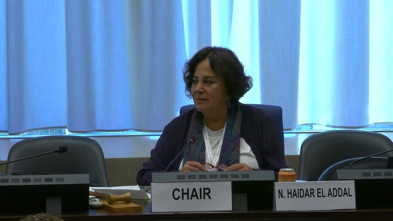 3019th Meeting, 93rd Session, Committee on the Elimination of Discrimination against Women (CEDAW)